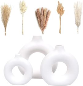 Set of 3 White Ceramic Vase with 65 PCS Dried Pampas Grass Flowers Aesthetic Boho Modern Small Round Cute Vases for Decor Living Room Coffee Table She